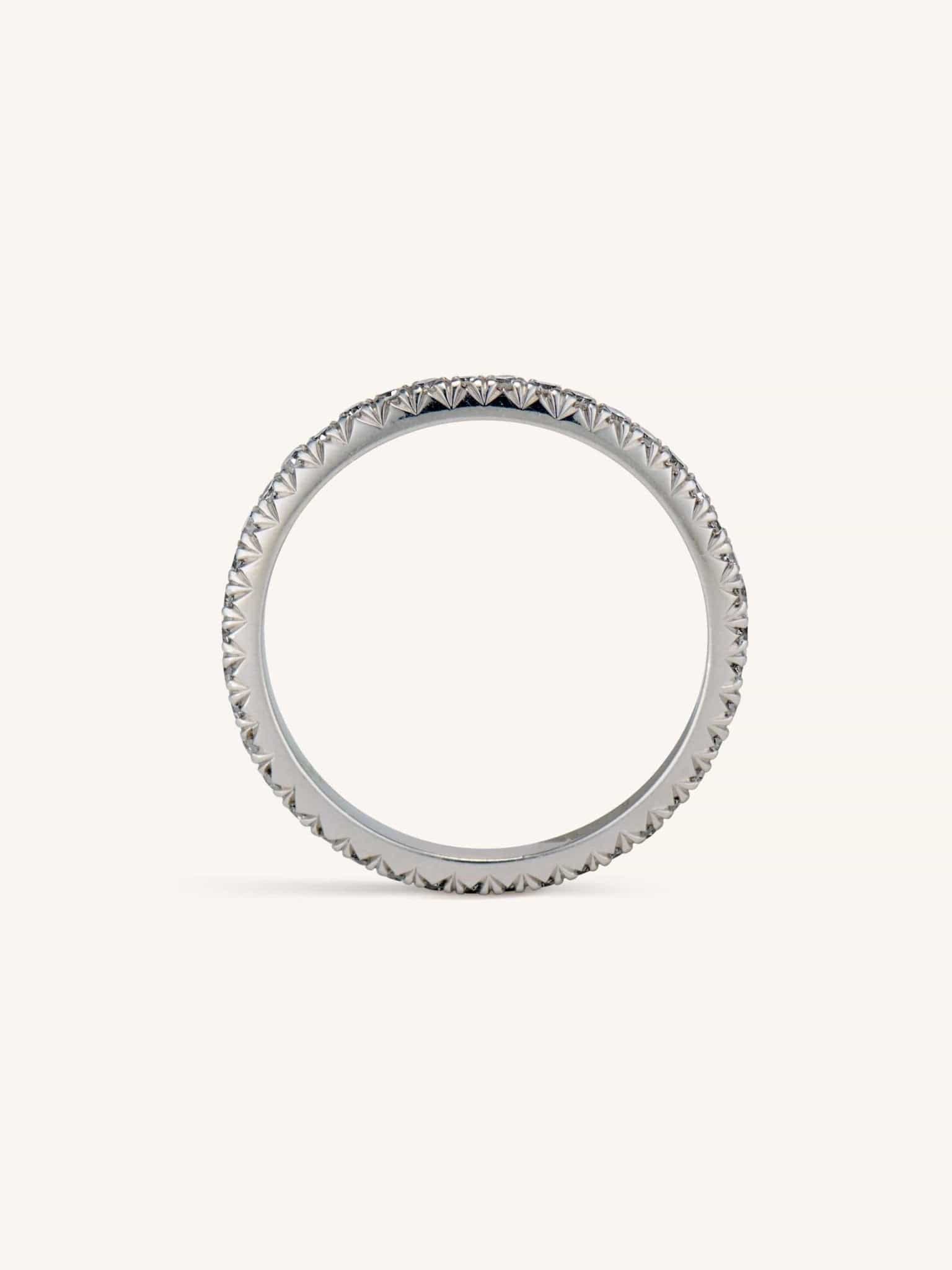 Zephyr - Image 4